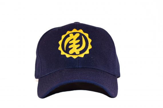Gold on Blue Baseball Cap