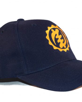 Gold on Blue Baseball Cap